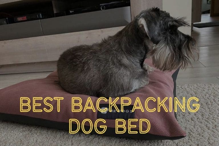 11 Best Dog Beds for Camping & Backpacking Dog Beds 2023