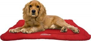 coleman roll-up travel dog bed