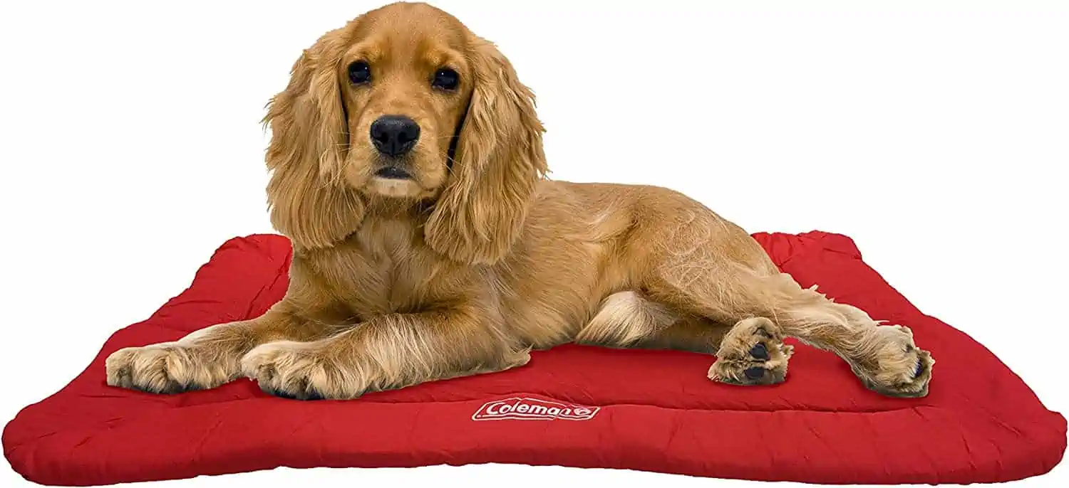 11 Best Dog Beds for Camping & Backpacking Dog Beds 2023
