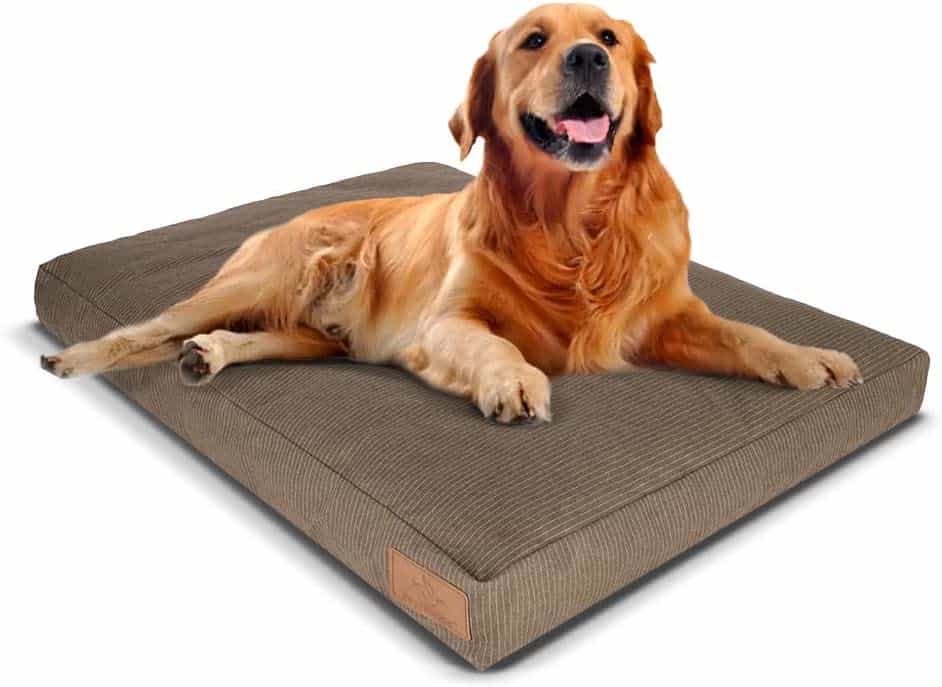 11 Best Dog Beds for Camping & Backpacking Dog Beds 2023