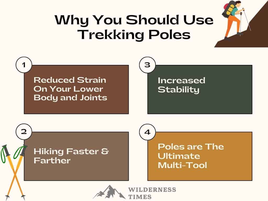 Why You Should Use Trekking Poles
