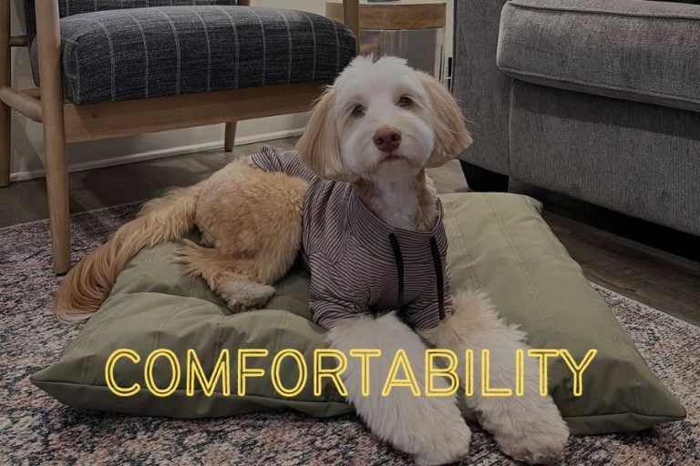 11 Best Dog Beds for Camping & Backpacking Dog Beds 2023