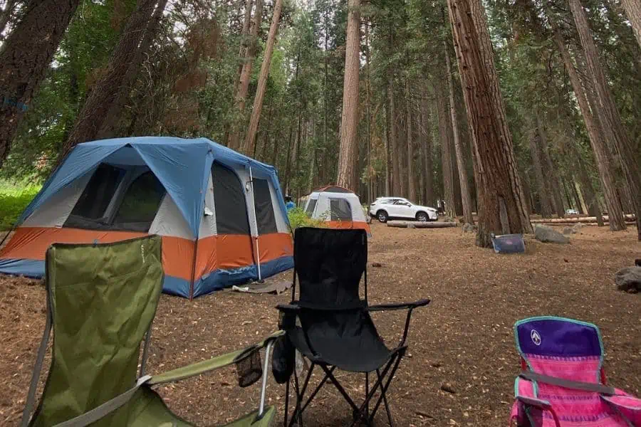 Cabin Tents in the Woods