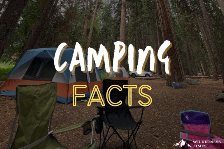 Camping Facts