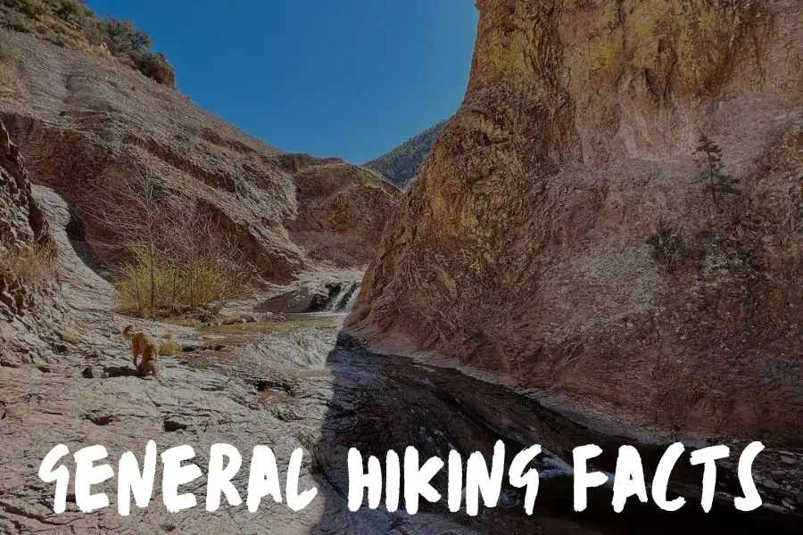 Hiking Facts