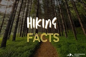 Hiking Facts