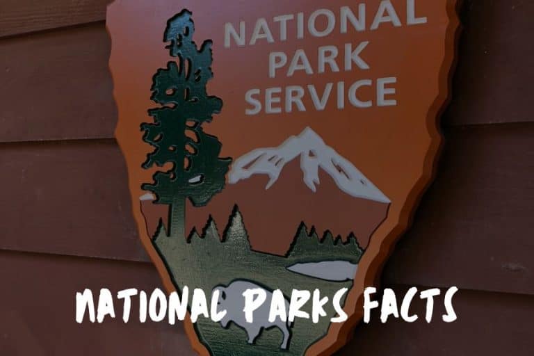 60+ Interesting and Fun Facts About Hiking