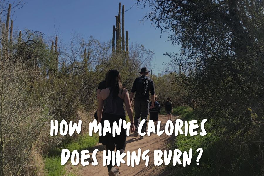 how many calories does hiking burn