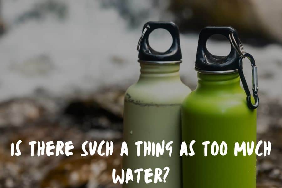 How Much Water To Bring Hiking: Is There Such A Thing As Too Much Water?