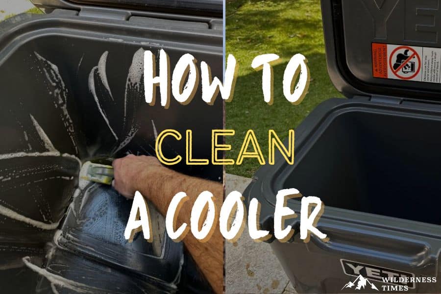 How to Clean a Camping Cooler Get Rid of Smells, Gunk & Mold!