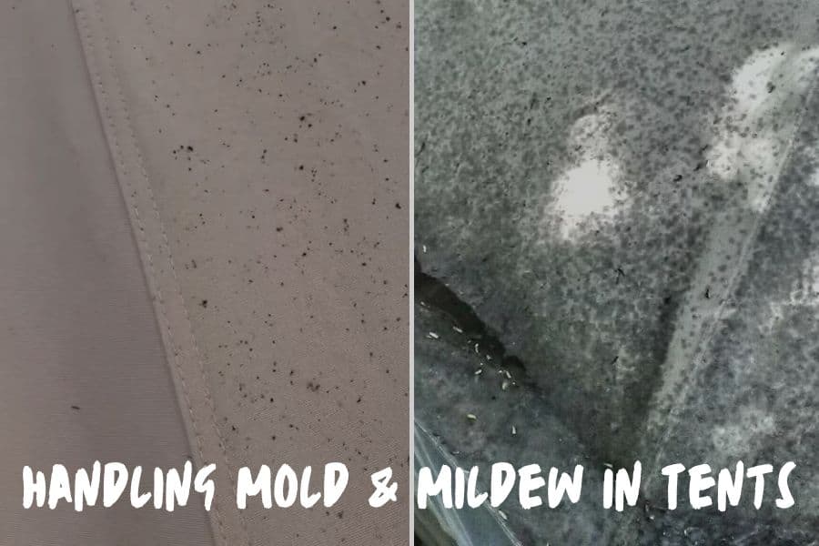 Handling Mold & Mildew In Tents