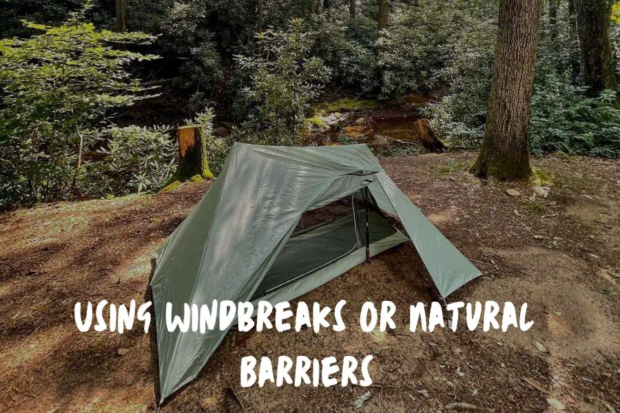 Using Windbreaks Or Natural Barriers For Wind Protection