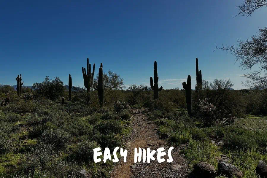 Easy Hikes