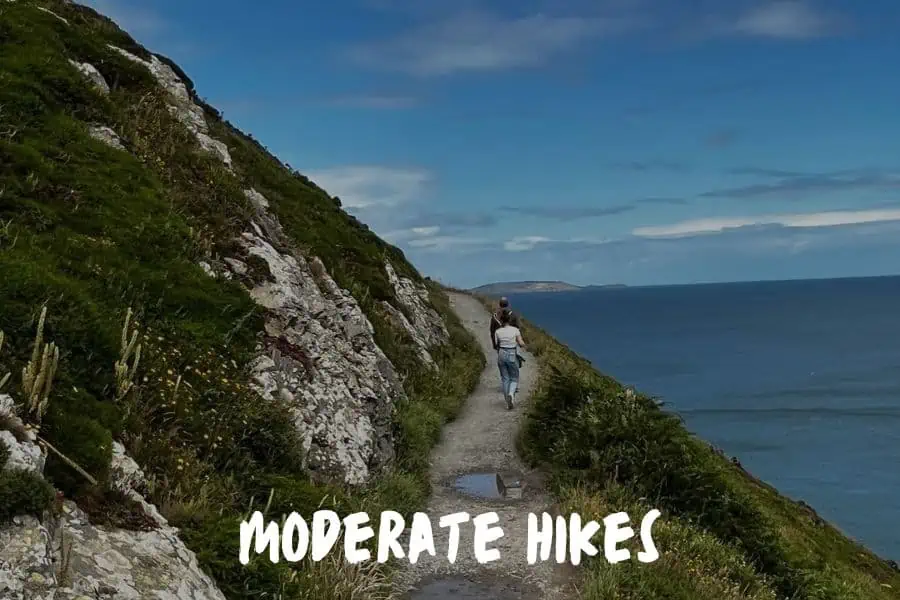 Moderate Hikes