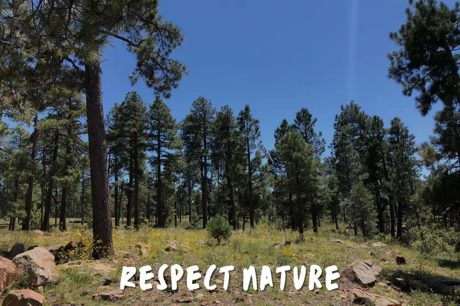 Respect Nature