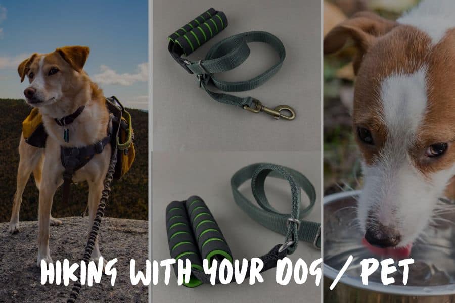 Hiking With Your Dog/Pet