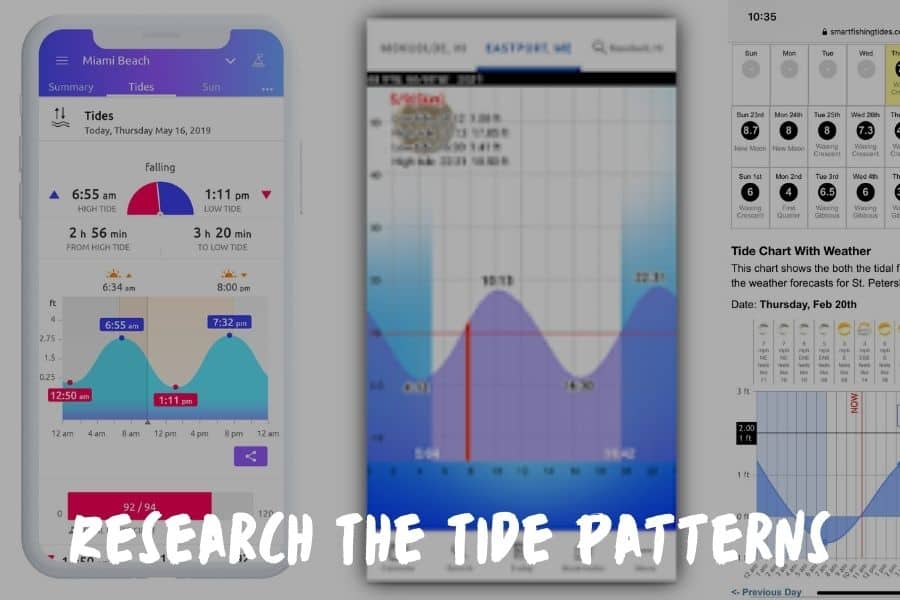 Research The Tide Patterns
