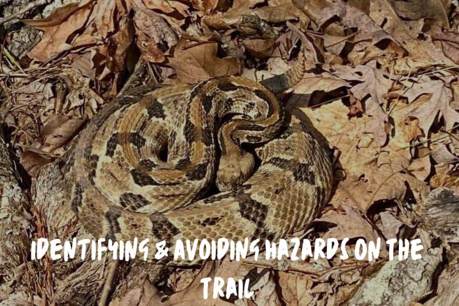 Identifying & Avoiding Hazards On The Trail