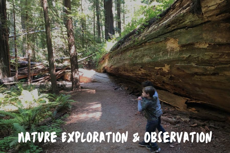 Nature Exploration & Observation