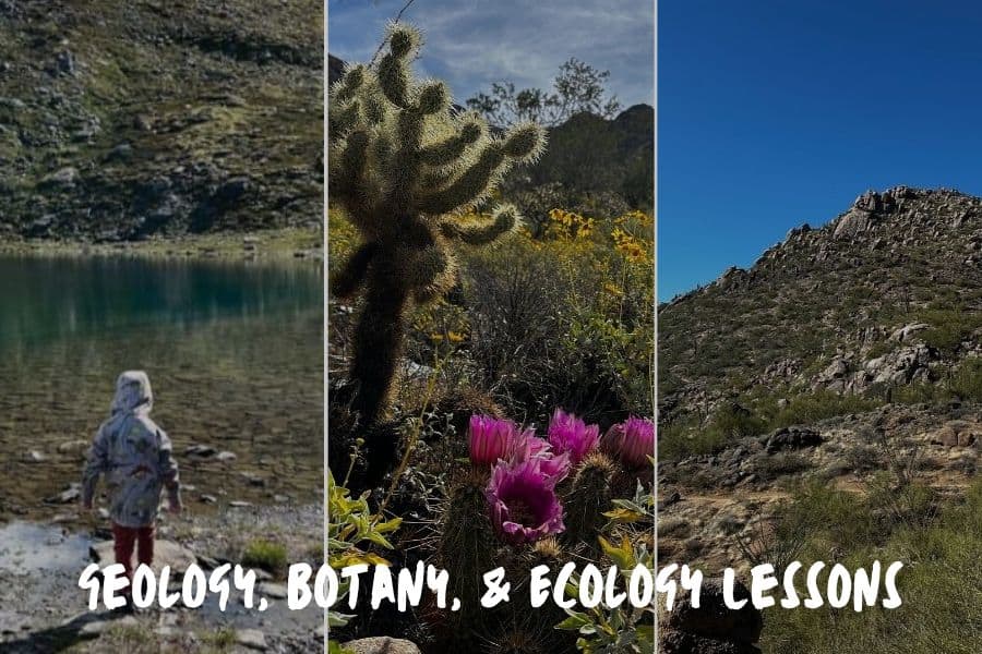 Geology, Botany, & Ecology Lessons