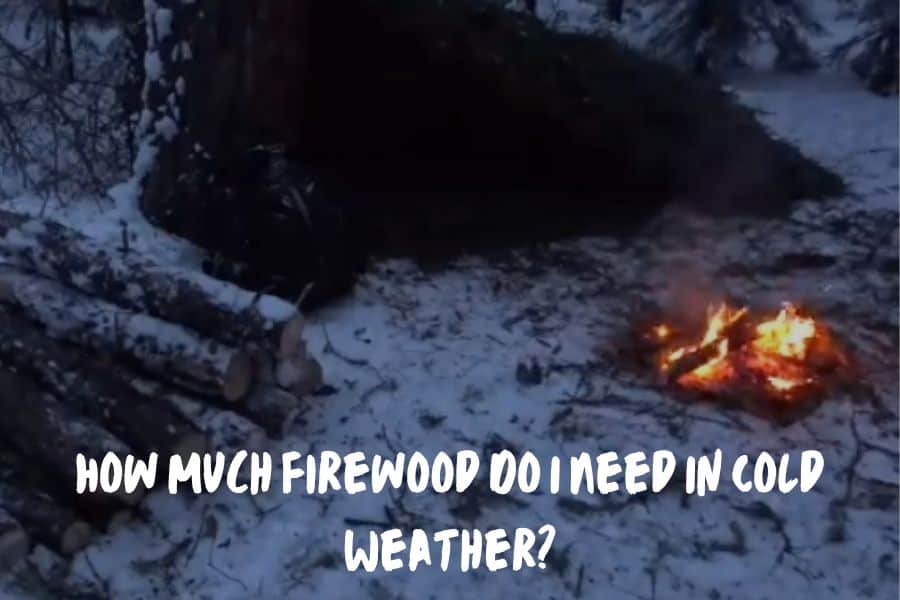 How Much Firewood Do I Need In Cold Weather?