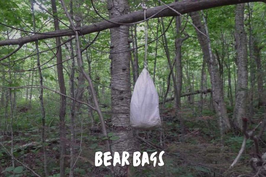 Bear Bags