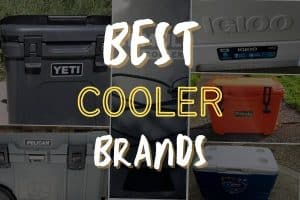 best cooler brands