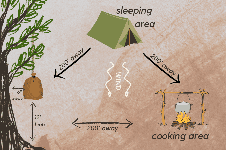Pitch The Tent Away From Your Food Area: Bearmuda Triangle