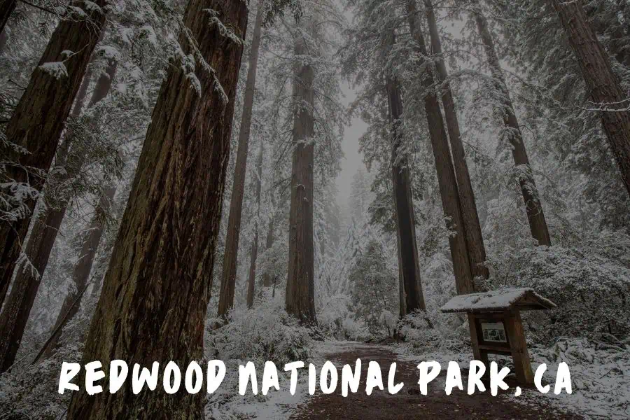 Top 5 National Parks to Visit This Winter