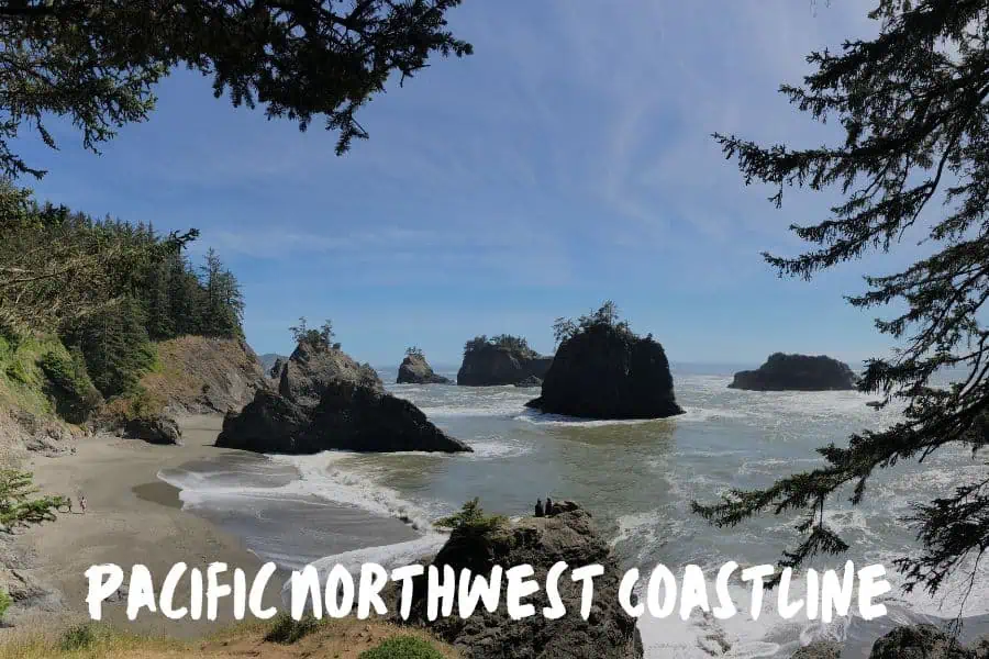 Pacific Northwest Coastline