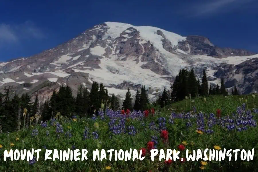 15 National Parks You Can't Miss This Summer