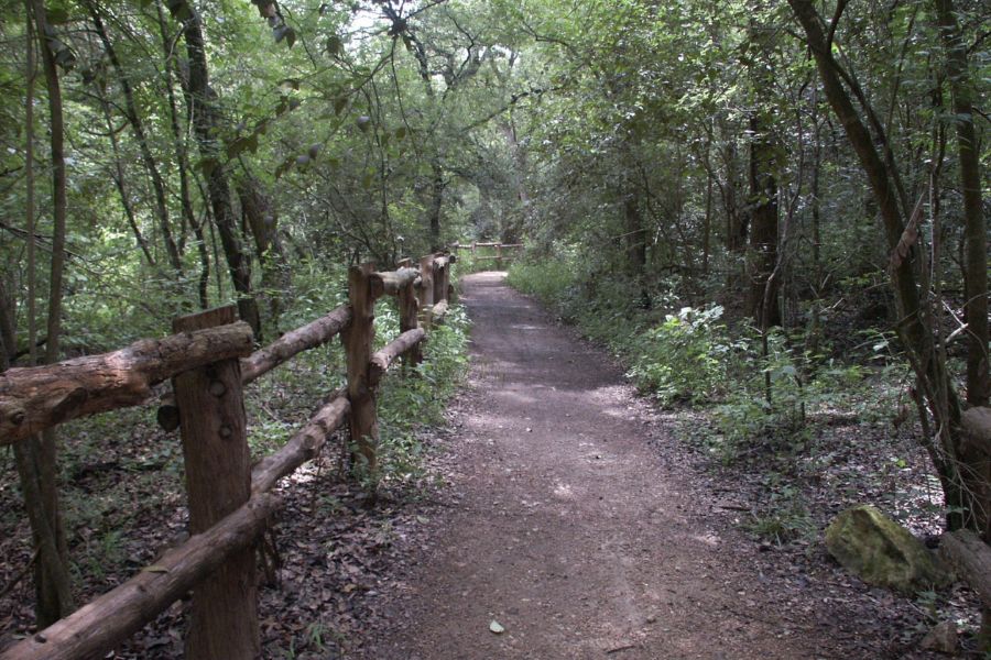 Barton Creek Greenbelt