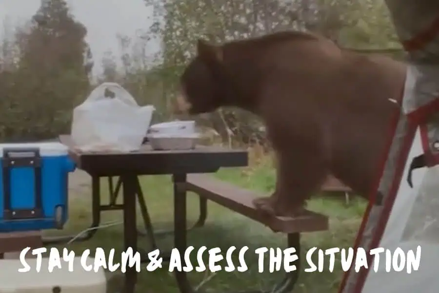 Stay Calm & Assess The Situation