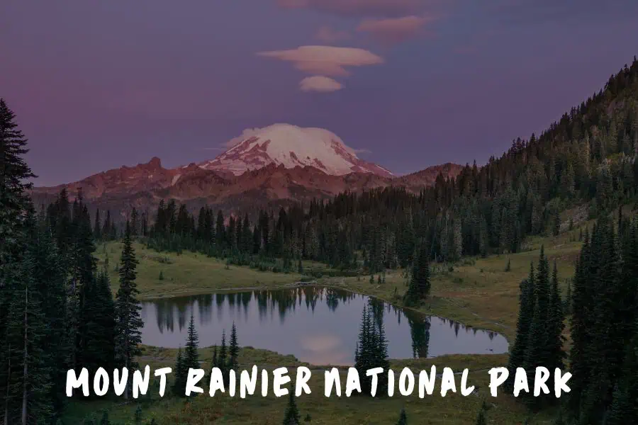Mount Rainier National Park