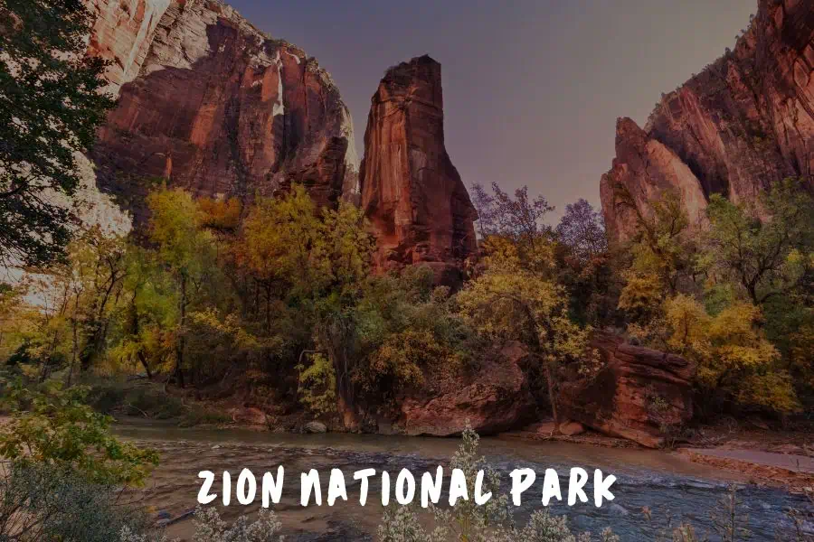 Zion National Park