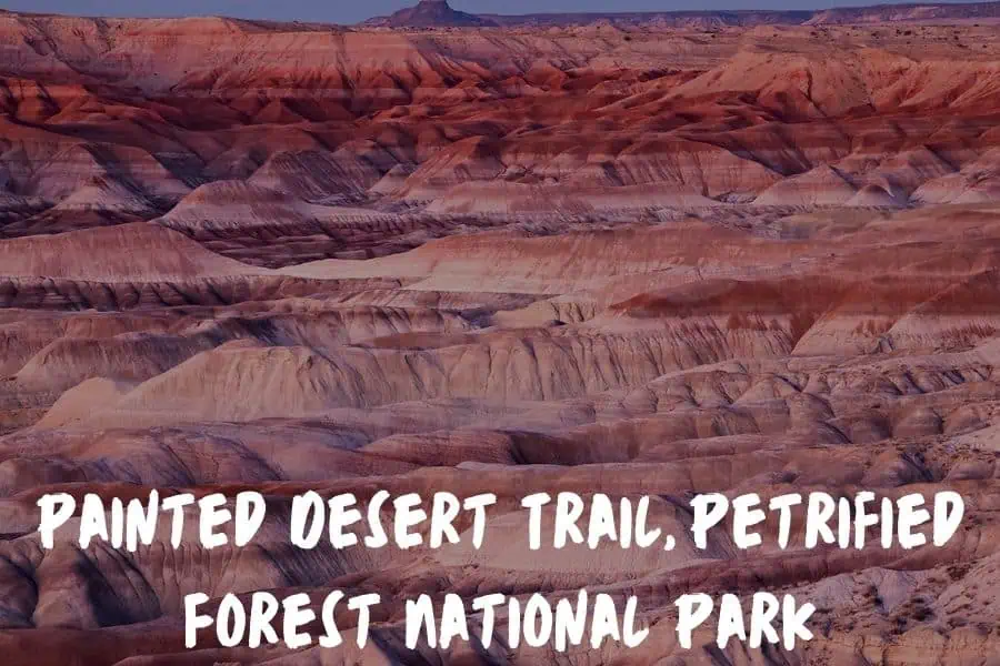 Arizona Trails Worth The Hype