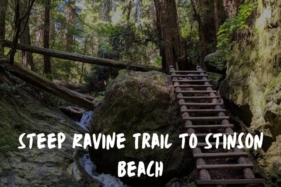 18 California Trails People Can’t Stop Talking About