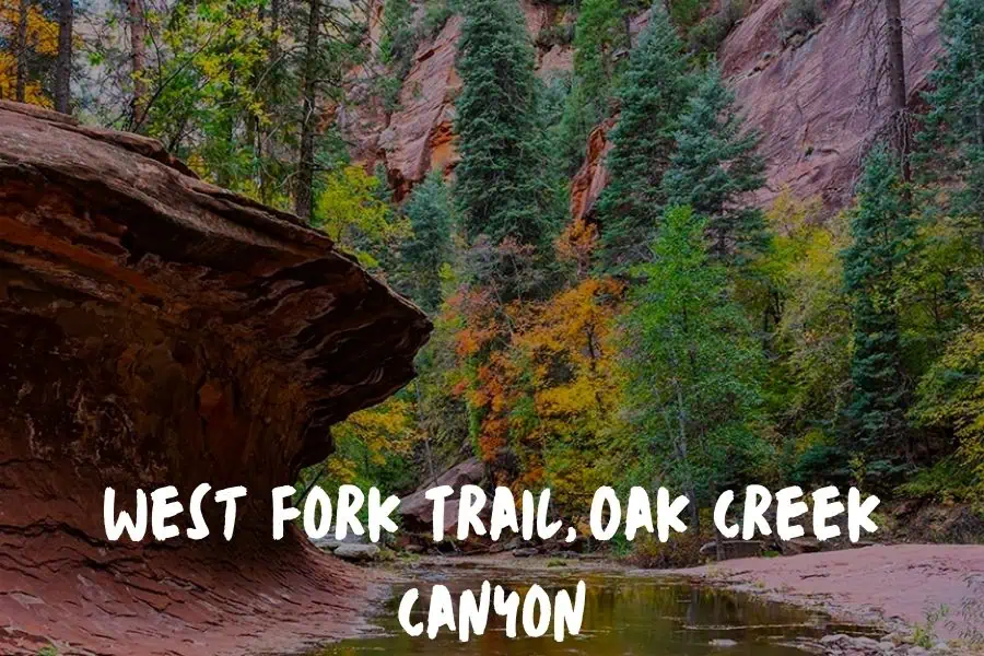 Arizona Trails Worth The Hype