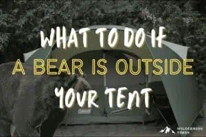 What to do if a bear is outside of your tent?