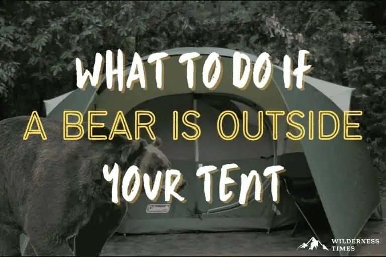 What to do if a bear is outside of your tent?