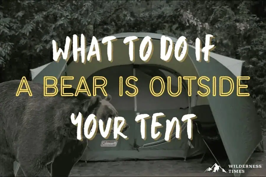 What to do if a bear is outside of your tent?